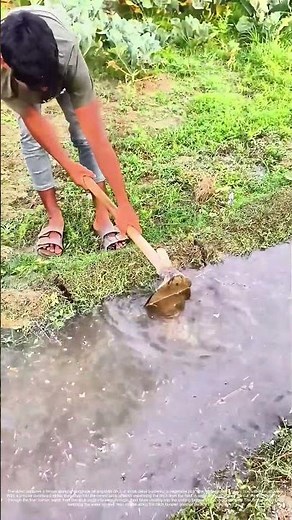 Opening the Flow: A Hoe Cut That Waters the Field