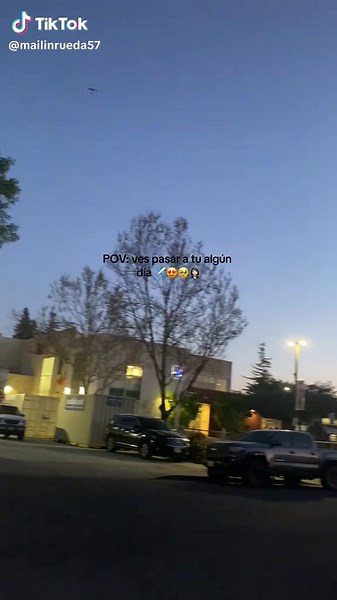 Azafata de Vuelo: Descubre los Cielos Bonitos