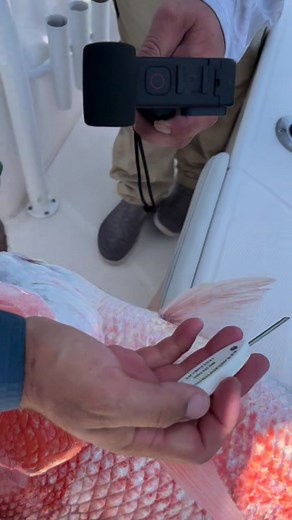 Josh Harmon on Reels