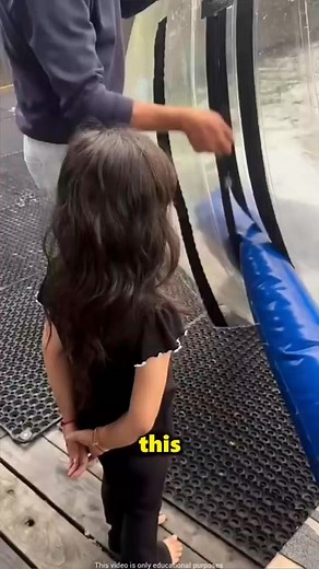 This girl fell inside a water balloons #fygpシ | Viral Vibe