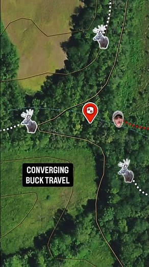 My All-Time Favorite Morning Stand Location for Late October #whitetails #hunting #deerhunting