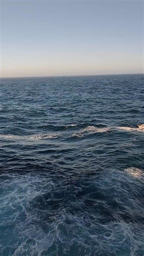 hot work permit approved 🧑‍🏭⚓ #seamanslifeonboard #seaman | Fitter Workshop