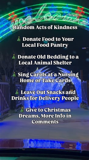 Christmas Dreams is a non-profit bringing Christmas magic to terminally ill children and their families. You can learn more on their page @christmasdreams365 Let’s bring some kindness to the people around us this holiday season. #randomactofkindness #raok #christmasdreams #christmas | The Stress-Free Christmas