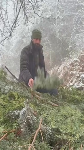 159K views · 1.2K reactions | Solo bushcraft during winter, practice survival skills before SHTF. #bushcraftsurvival #bushcraft #bushcraftskills #survivalskills | Alaska Prepper | Facebook