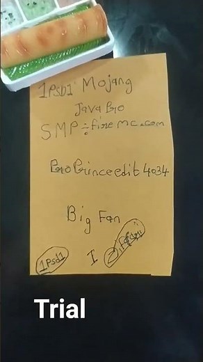 1PSD1 pro Java edition