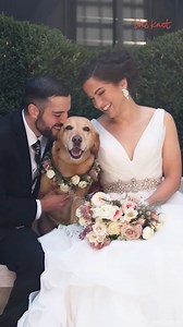 Different Ways to Include Your Dog at Your Wedding #petfriendly #dreamwedding #furbaby | The Knot