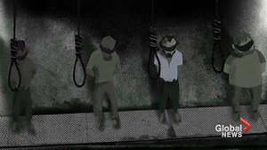 13,000 people killed in mass hangings in Syrian prisons since 2011: Amnesty International