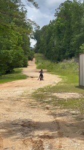 33K views · 696 reactions | Redneck throttle cable repair! | Action Jackson | Facebook