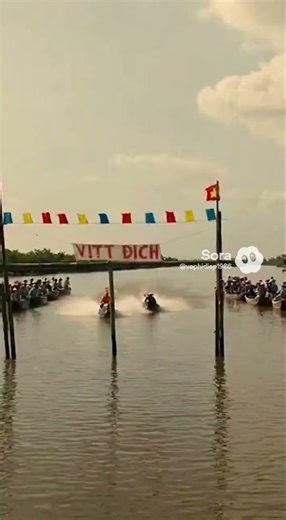 Cưỡi Cá Heo đua xuồng máy ở Sông Năm Căn