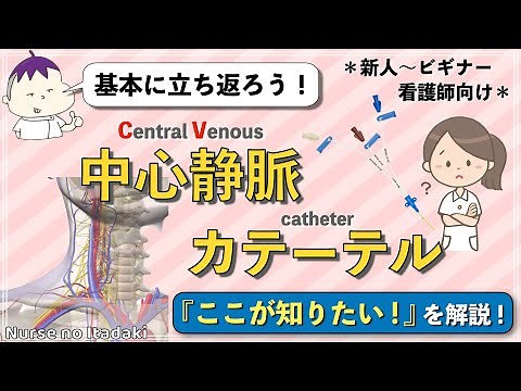 【CVのココが知りたい！】中心静脈カテーテルの基本を解説！