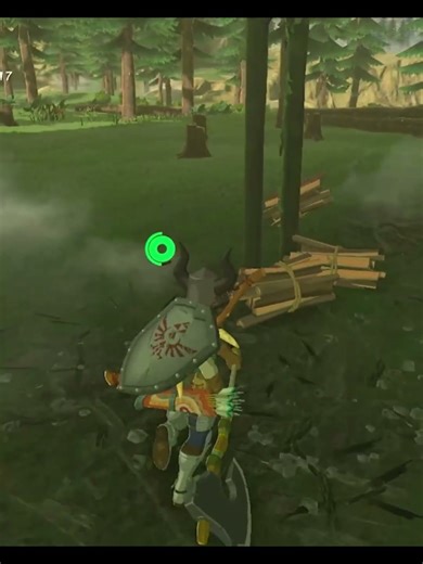 Zelda Breath Of The Wild Master Mode BOTW #shorts 13