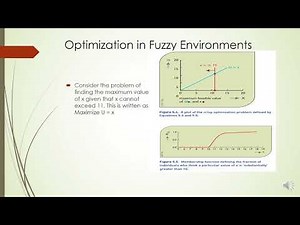 Fuzzy Optimization