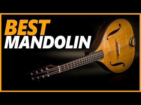 Best Mandolin For The Money | Top 5 Mandolin Musical Instruments That You'll Love