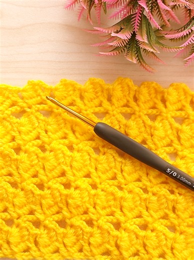Super Easy Embossed Crochet Pattern for Beginners