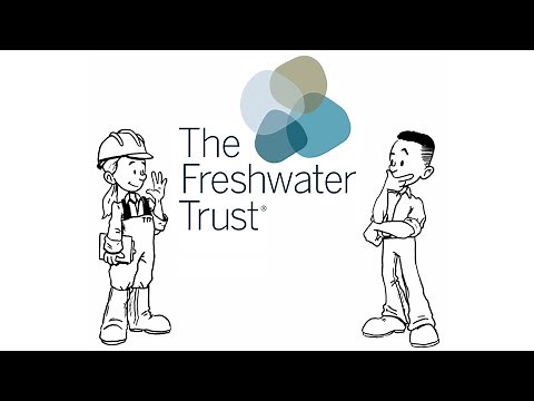 Water Quality Trading 101: Illustrated Guide to How Trading Works in Watershed