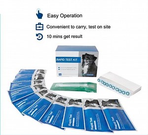 [Hot Item] Canivet Cpv-Ccv Parvo-Corona AG Combo Test Parvo in Dogs