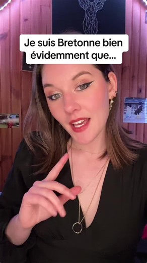 Je suis Bretonne: My Breton Life and Culture Explained