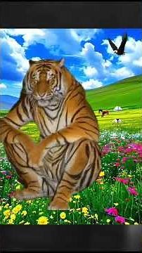 Cringe TikTok comments... 😭🙏