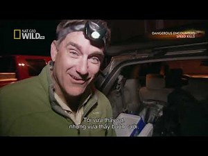 Dangerous Encounters With Brady Barr - Speed Kills | HD Vietsub