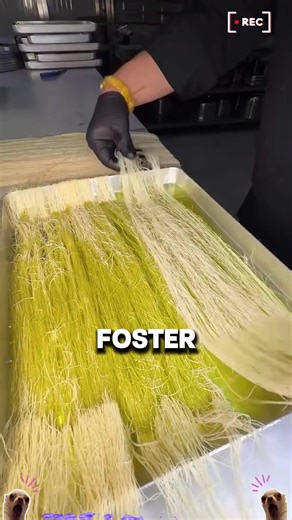 Discovering My Foster Family's Secret Countdown Calendar