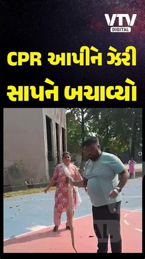 વલસાડમાં યુવકે મોંએથી શ્વાસ આપીને ઝેરી સાપને બચાવ્યો, જોઈને રૃવાંડા ઊભા થઈ જશે