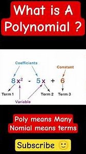 Polynomial| what is a polynomial| polynomial class9| polynomial class10 #polynomials #shortsfeed #yt