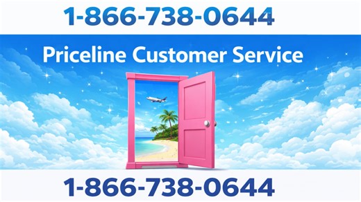 Priceline Customer Service Official Guide | Step-by-Step Help & Support Priceline