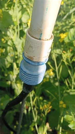 "my farm mini irrigation system setup to pvc pipes and fittings #shortvideo