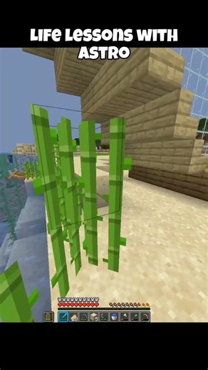 Life Lessons By Astro #shorts #minecraft #lifelessons #arpitbala