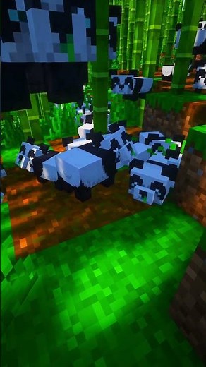 I Didn't Know Pandas Could Do THIS 🐼 #minecraft #shorts