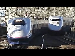 【JR東日本】 E1とE2+E3新幹線の並走シーンは東北・上越ならでは