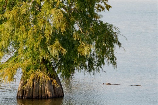This small town is the best place in Louisiana for a summer getaway