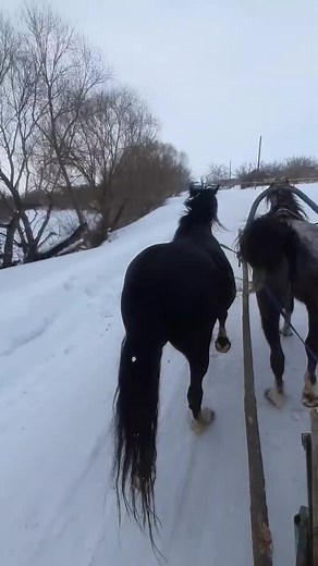 Snowy Landscape with Horses Pulling a Wooden Sled