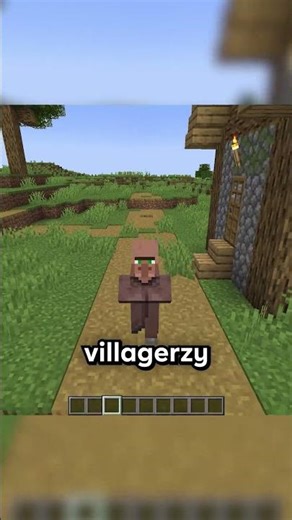Villagers are really stupid in Minecraft