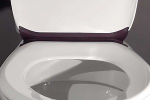 Lalunet' : cette invention récompensée au concours Lépine met fin aux problèmes d'hygiène des WC