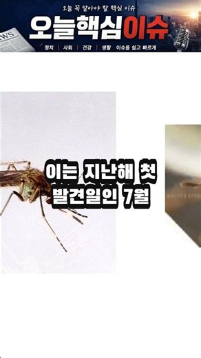 #20260621 First Case of Japanese Encephalitis-Carrying Mosquitoes Found in Sejong This Year #Heal...