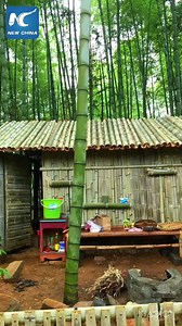 47K views · 404 shares | Primitive cooking in a bamboo forest | China Xinhua News | Facebook