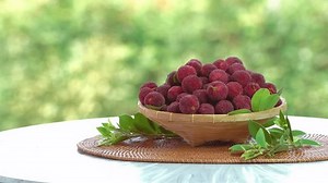 Fruits d'Arbutus Fruit ou Yangmei Rouge : vidéo de stock (100 % libre de droit) 1105010151 | Shutterstock