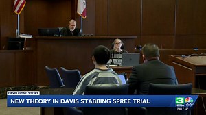 Yolo County DA introduces new theory in deadly Davis stabbings