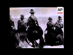 Australian Light Horse