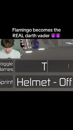 I think his army was fearful for their life not sure tho 🧐🧐 #flamingo #flamingowastaken #albertflamingo