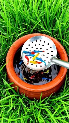 Found Nemo & Baby Turtles?! 🤯 Our Tiny Pond is ALIVE! 🐠🐢