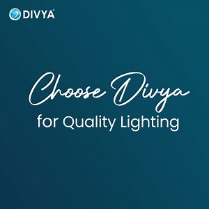 Light up the night with Divya Flood Lights!  Illuminate your world...