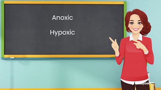 Anoxic | Definition, Environment & Conditions