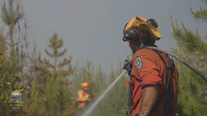 Securing enough firefighting resources for B.C. wildfire season