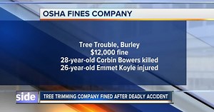 OSHA fines Idaho tree-trimming company after deadly accident