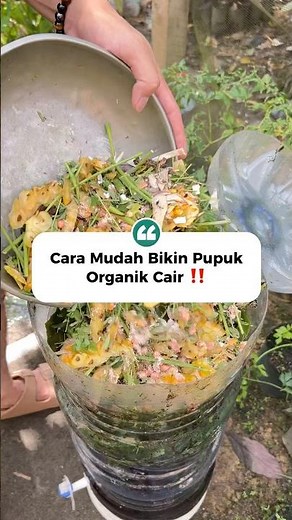 Cara Membuat Pupuk Organik Cair Sendiri di Rumah | Easy Homemade Liquid Organic Fertilizer🌿