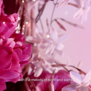 269K views · 424 reactions | Discover the NEW Miss Dior Parfum fragrance infused with notes of jasmine, mandarin and amber woods. | Ulta Beauty | Facebook