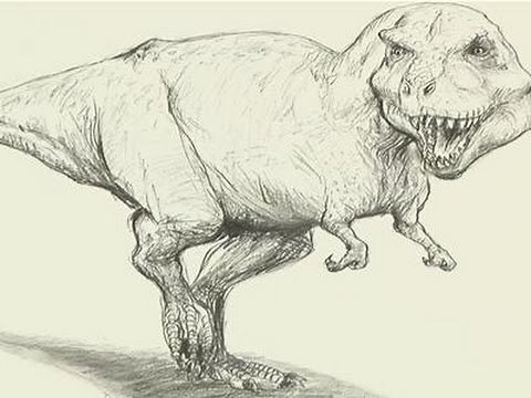 How To Draw A T-Rex