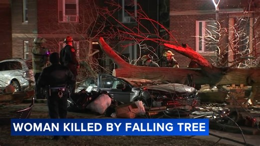 Tree lands on car, kills woman in Northeast Philadelphia amid dangerous winds in region
